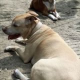 Oskar und Sarah